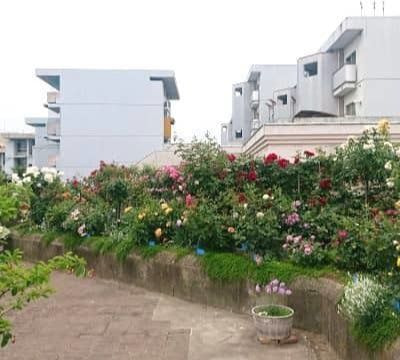 建築家大髙正人による坂出市人工土地