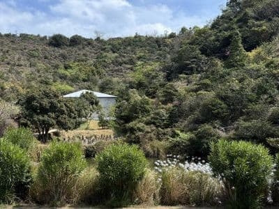 瀬戸内の現代アートが楽しめるヴァレーギャラリー