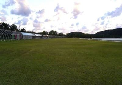 Running Green Project 阿川ほうせんぐり海浜公園
