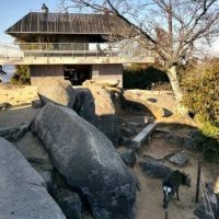 弥山展望台