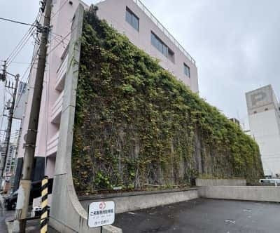流政之監修草壁