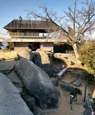 弥山展望台