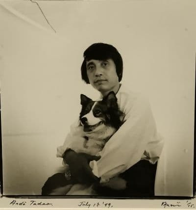 安藤忠雄